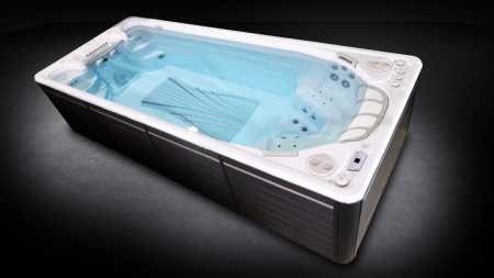 Бассейн с противотоком Hydropool Executive Trainer 19EX